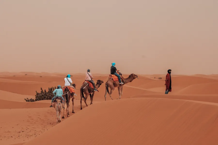 Camel trek at sunset over the Erg Chebbi dunes