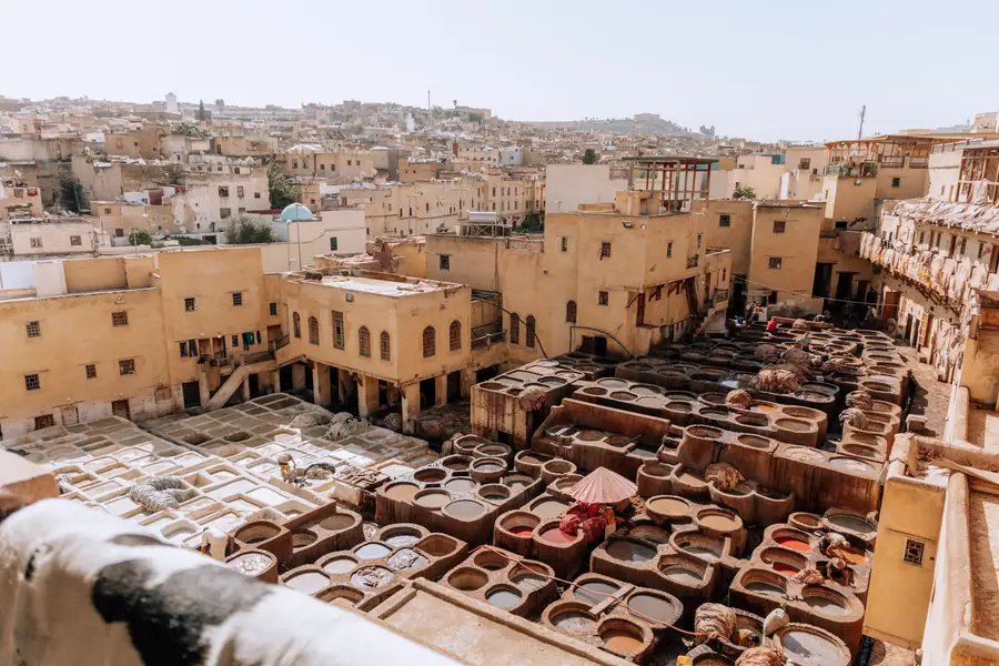 The historic tanneries of Fes