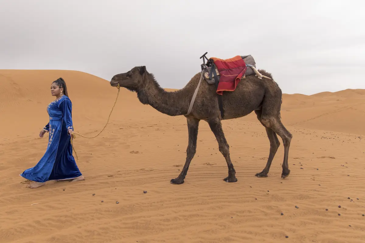 Photograph taken on the 10 Days Morocco tour from Fes to Marrakech