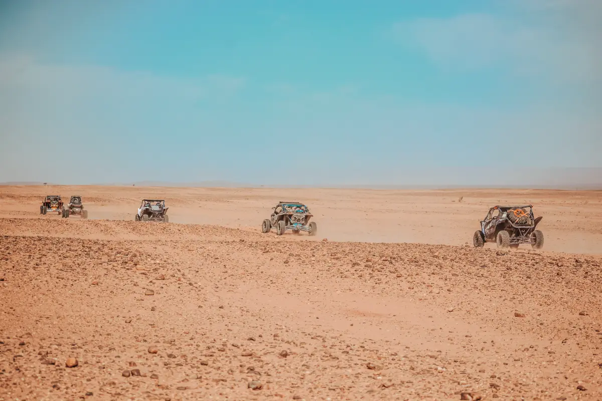Photograph taken on the 13 Days Morocco tour from Marrakech
