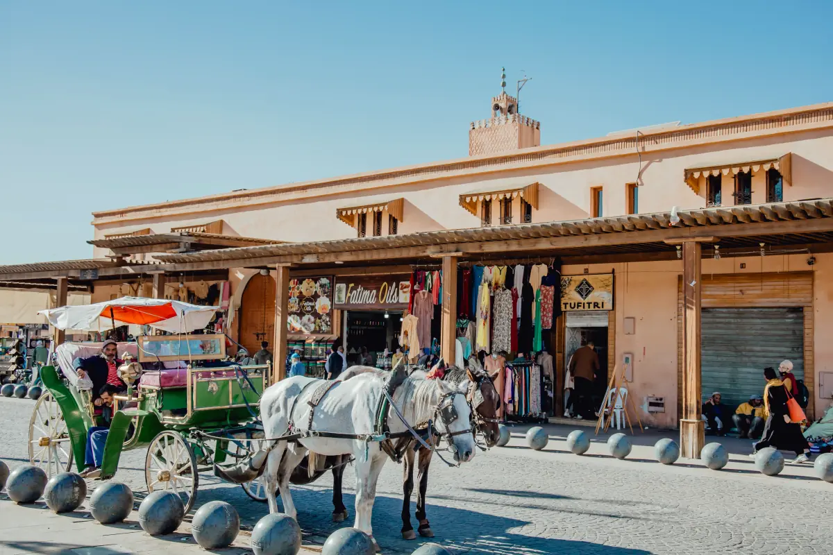 Photograph taken on the 8 Days Morocco tour from Fes to Marrakech